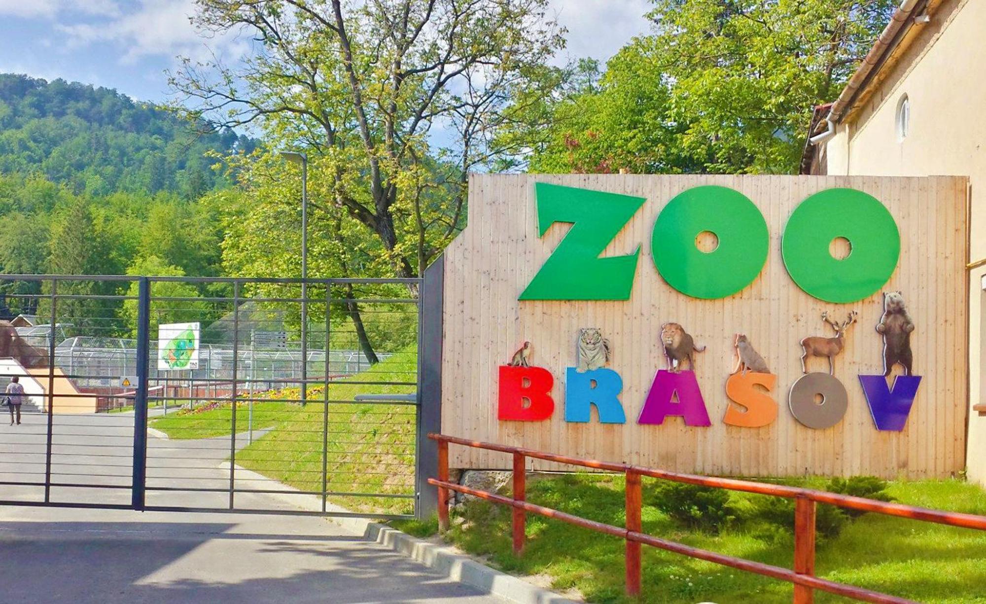 Mountain And View With Underground Parking Braşov